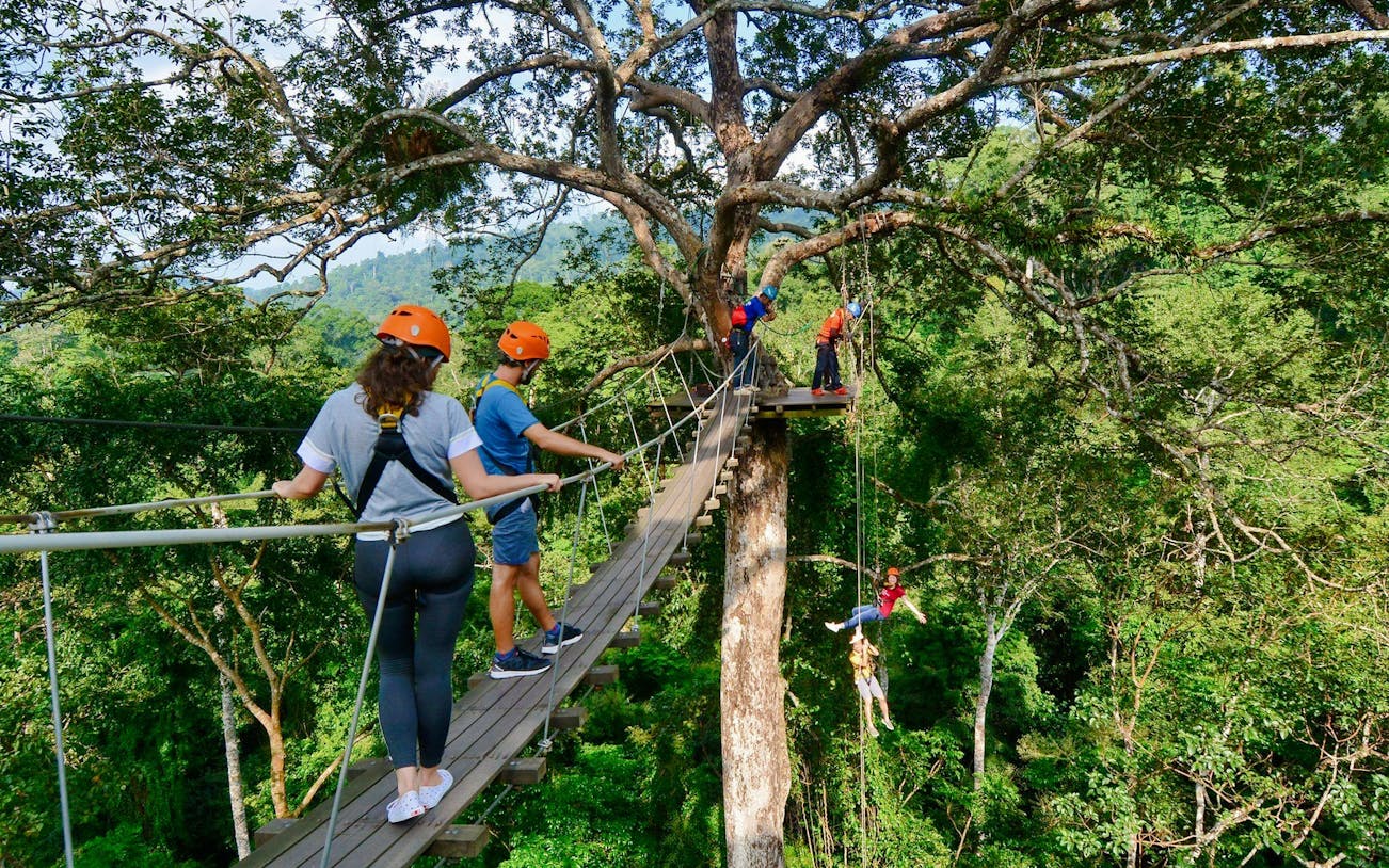 Visitors ziplining through lush forest canopy at Flight of the Gibbon Chonburi.