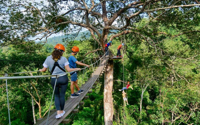 Visitors ziplining through lush forest canopy at Flight of the Gibbon Chonburi.