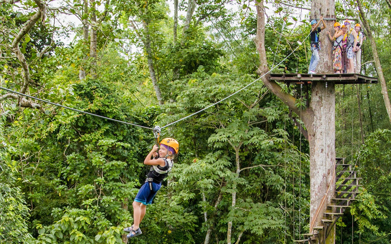 Child ziplining through lush forest at Flight Of The Gibbon Chonburi, Thailand.