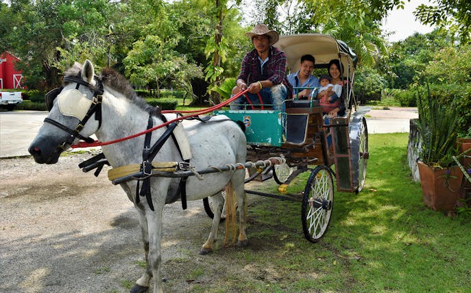 Horse-drawn carriage ride with a family at Pattaya Shooting Park.