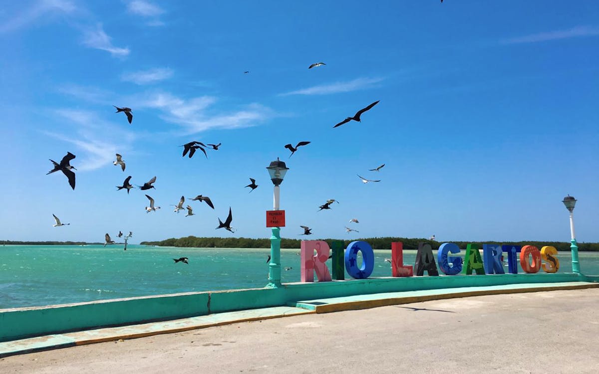 las coloradas & rio lagartos all-inclusive tour-9 las coloradas & rio lagartos all-inclusive tour-9