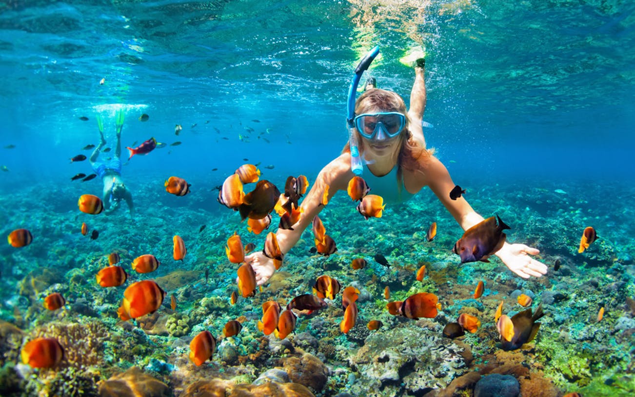 Snorkeler exploring vibrant coral reef with tropical fish at Marietas Islands, near Puerto Vallarta.