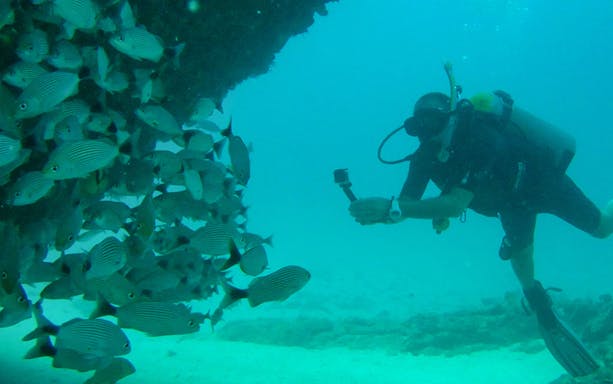 Diver filming fish underwater at Marietas Islands near Puerto Vallarta.