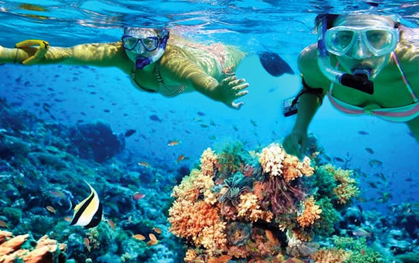 Snorkelers exploring coral reef at Marietas Islands near Puerto Vallarta.