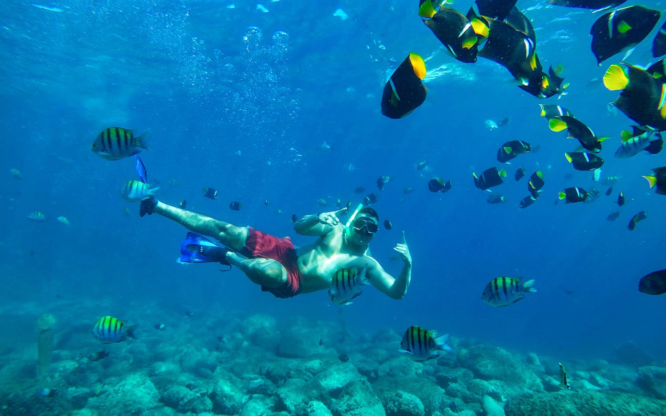 Snorkeler surrounded by tropical fish near The Arches, Puerto Vallarta.