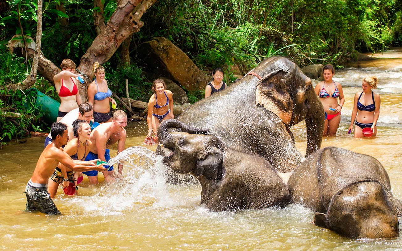 Tourists interacting with elephants in a river at Elephant Jungle Sanctuary.