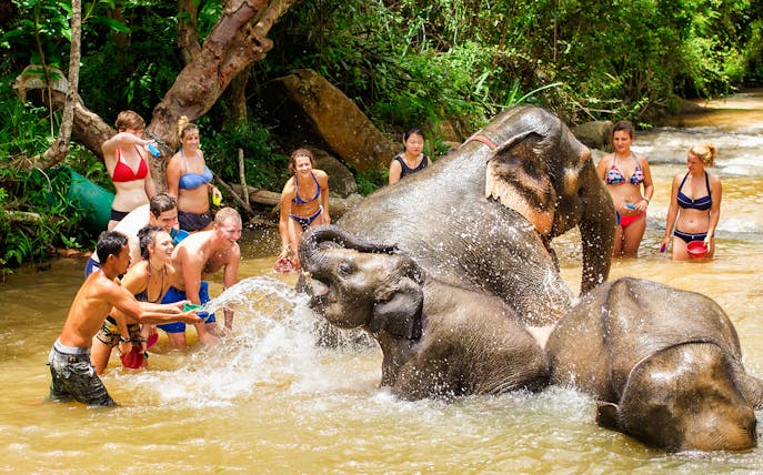 Tourists interacting with elephants in a river at Elephant Jungle Sanctuary.
