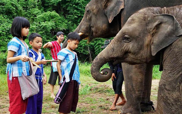 Children interacting with elephants at Ker Chor Elephant Eco Park.