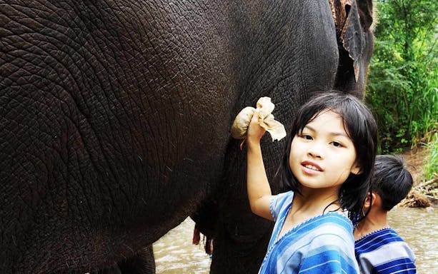 Child interacting with an elephant at Ker Chor Elephant Eco Park.