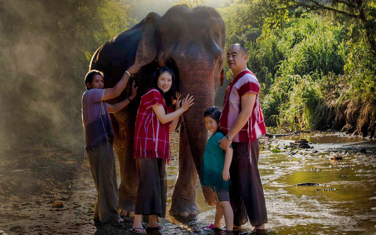 Family interacting with an elephant at Ker Chor Elephant Eco Park.