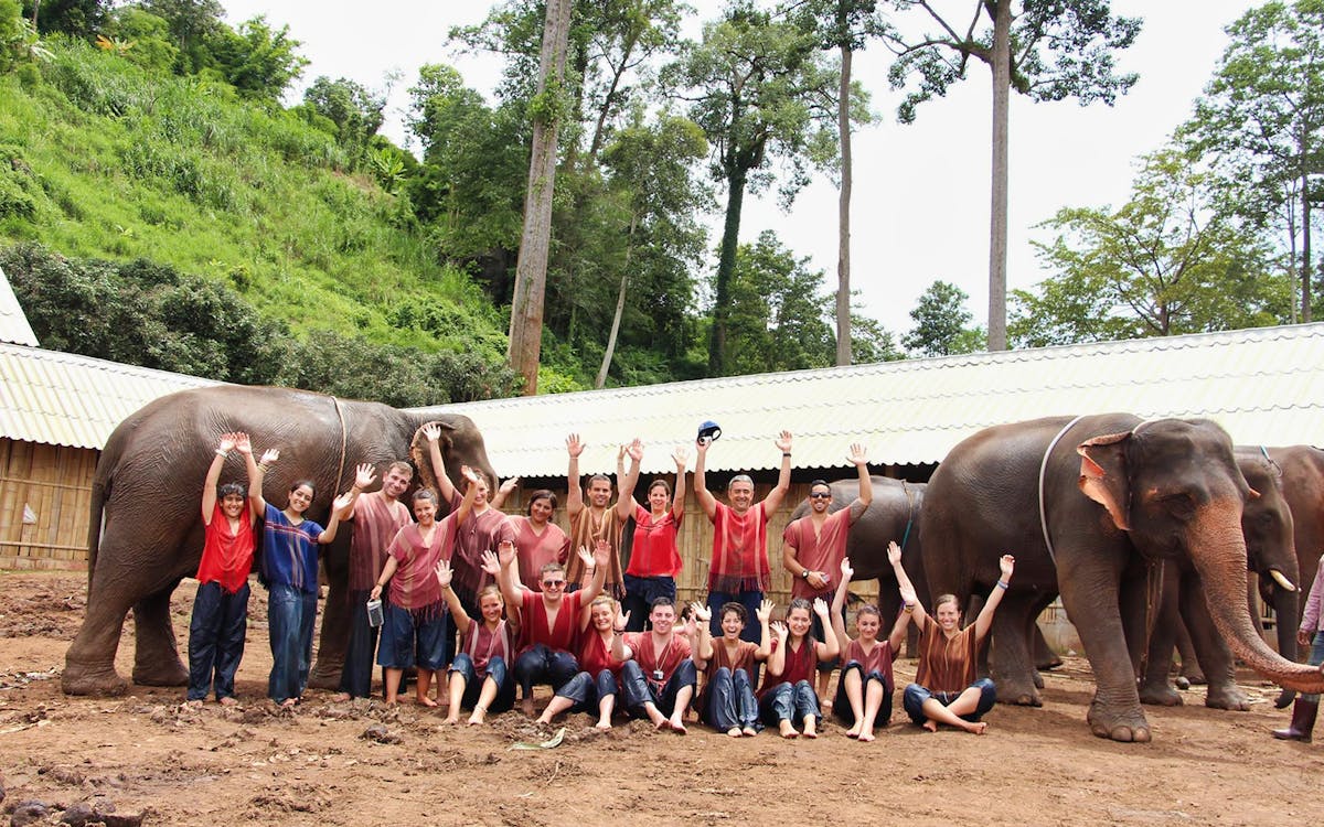 ran tong elephant care experience with round trip transfers-7 ran tong elephant care experience with round trip transfers-7