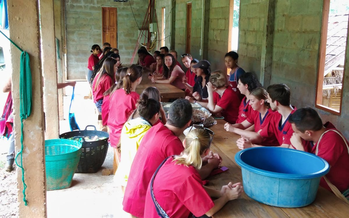 ran tong elephant care experience with round trip transfers-6 ran tong elephant care experience with round trip transfers-6
