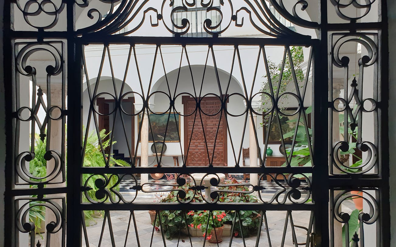 Courtyard view through ornate iron gate in Seville, featuring plants and traditional architecture.