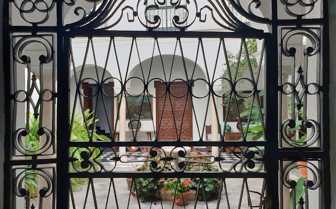 Courtyard view through ornate iron gate in Seville, featuring plants and traditional architecture.