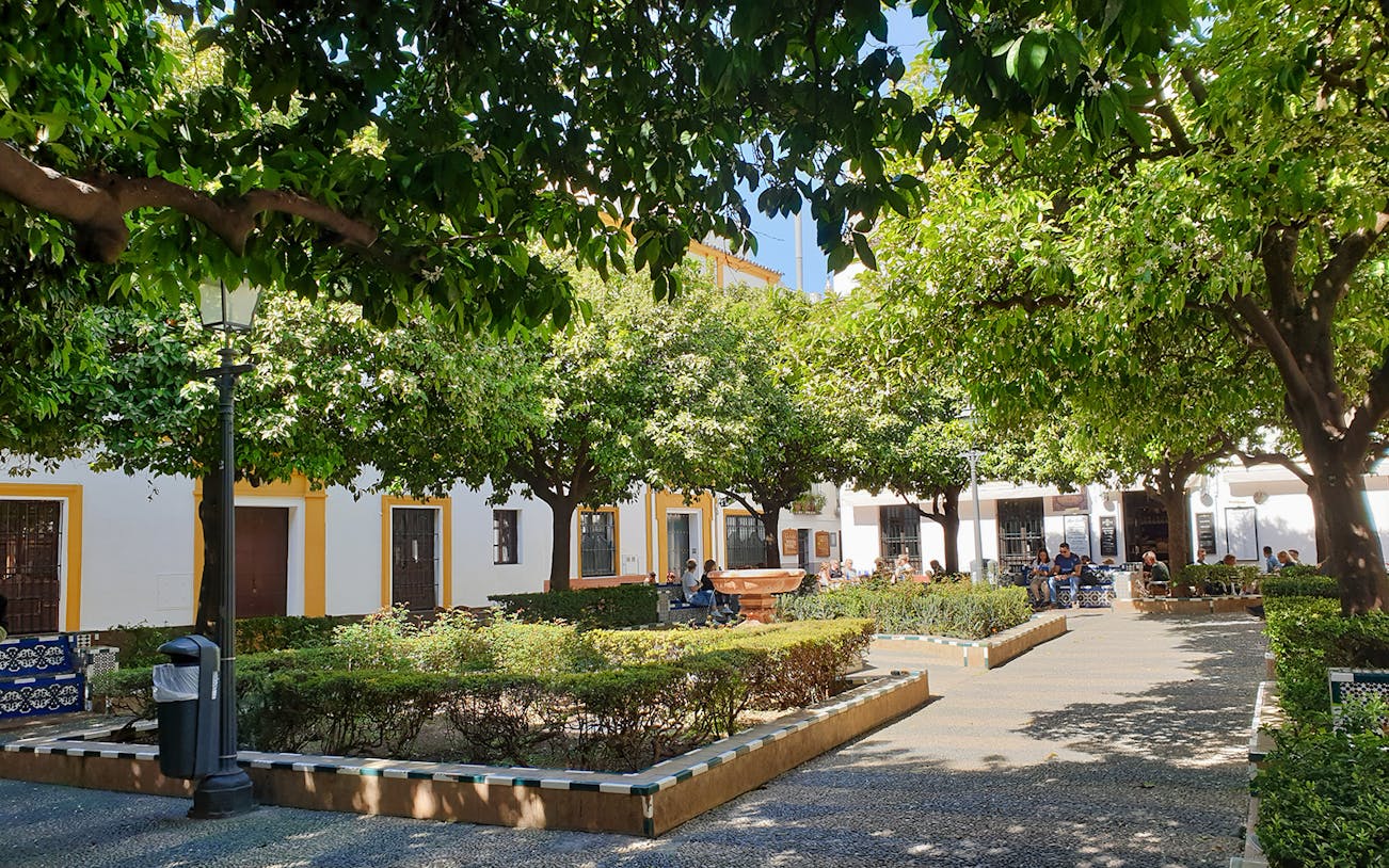 Seville courtyard with orange trees and people sitting at outdoor cafes.