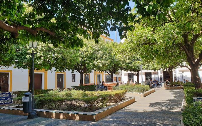 Seville courtyard with orange trees and people sitting at outdoor cafes.