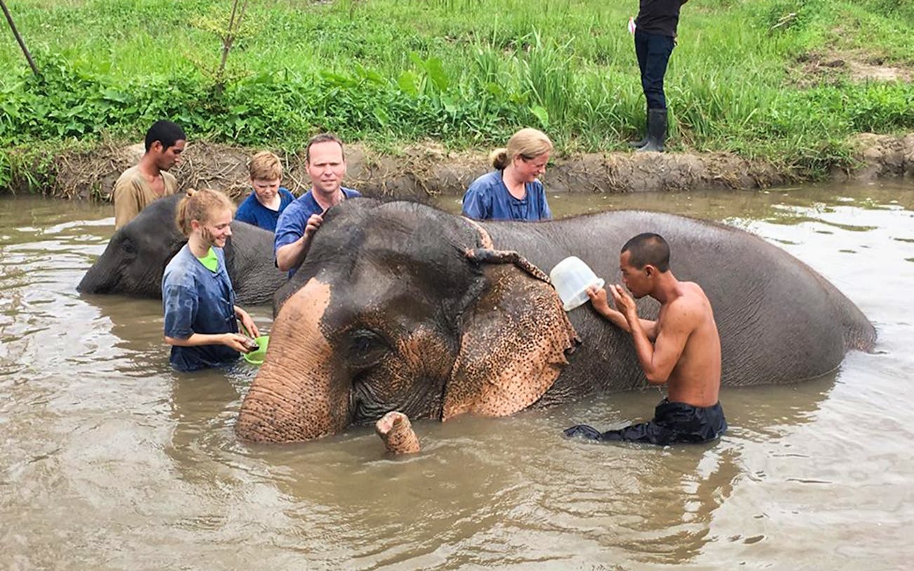 Visitors bathing elephants at Lanna Kingdom Elephant Sanctuary, Thailand.