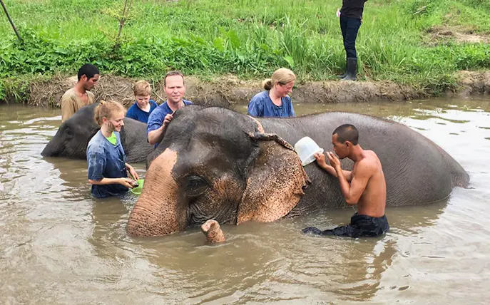 Visitors bathing elephants at Lanna Kingdom Elephant Sanctuary, Thailand.
