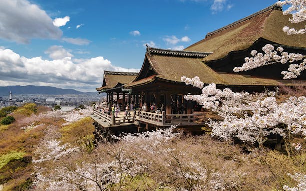 Kiyomizu-dera Temple with cherry blossoms in Kyoto during a sightseeing tour.
