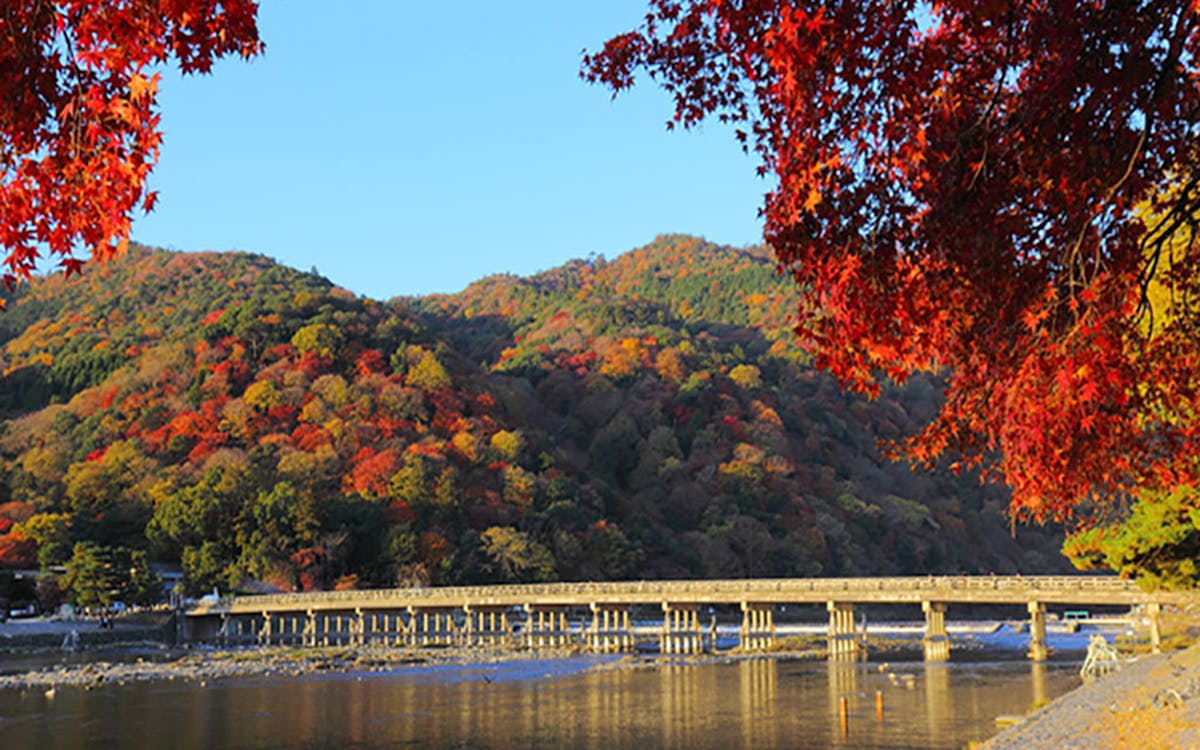 plenty of arashiyama 3 hours nara park kobe mosaic full day tour-8 plenty of arashiyama 3 hours nara park kobe mosaic full day tour-8
