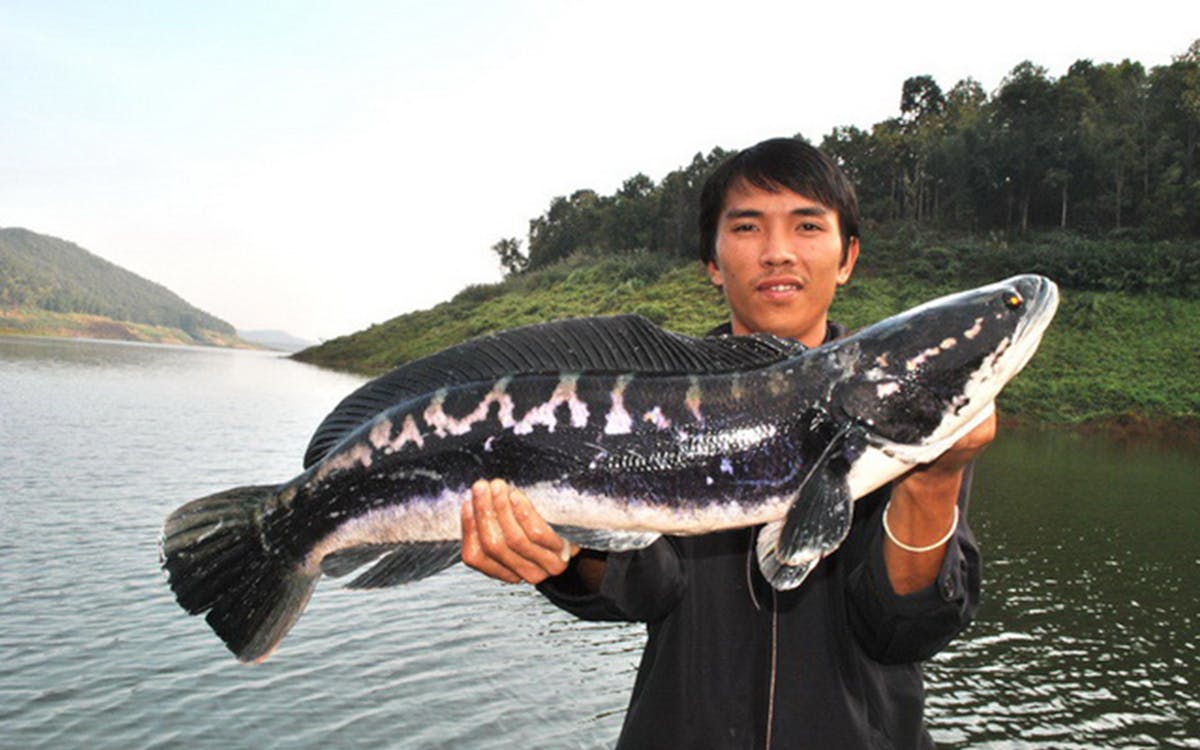 big game fishing adventure tour with round trip transfers-3 big game fishing adventure tour with round trip transfers-3