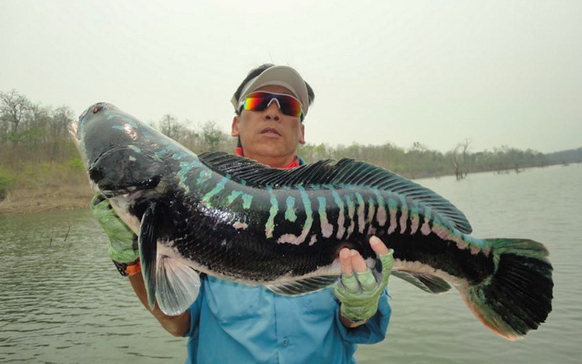 big game fishing adventure tour with round trip transfers-4 big game fishing adventure tour with round trip transfers-4