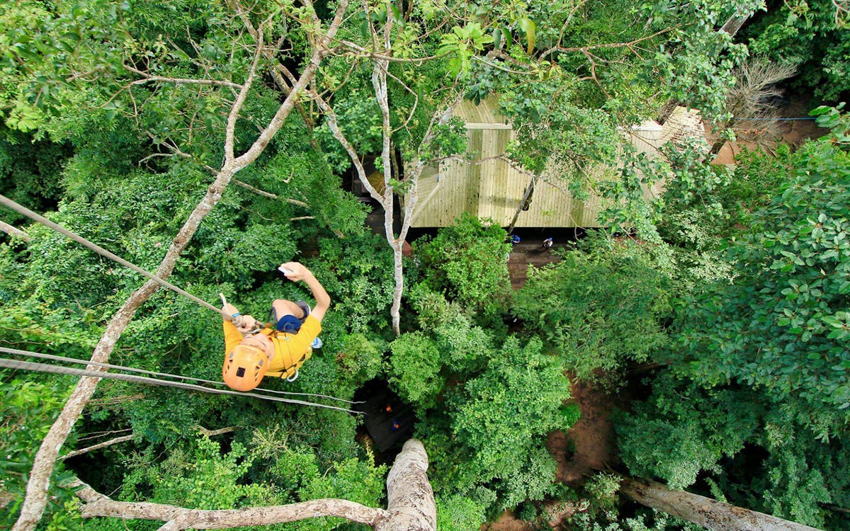 flight of the gibbon chiang mai-8 flight of the gibbon chiang mai-8