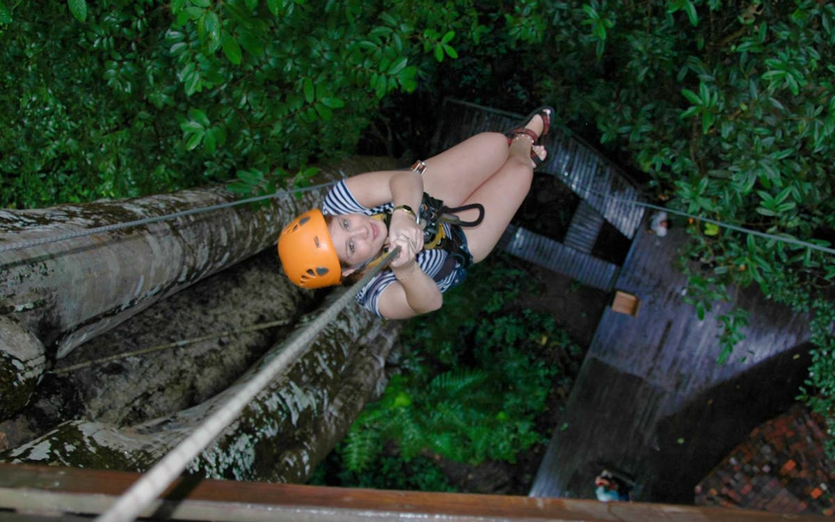 flight of the gibbon chiang mai-6 flight of the gibbon chiang mai-6