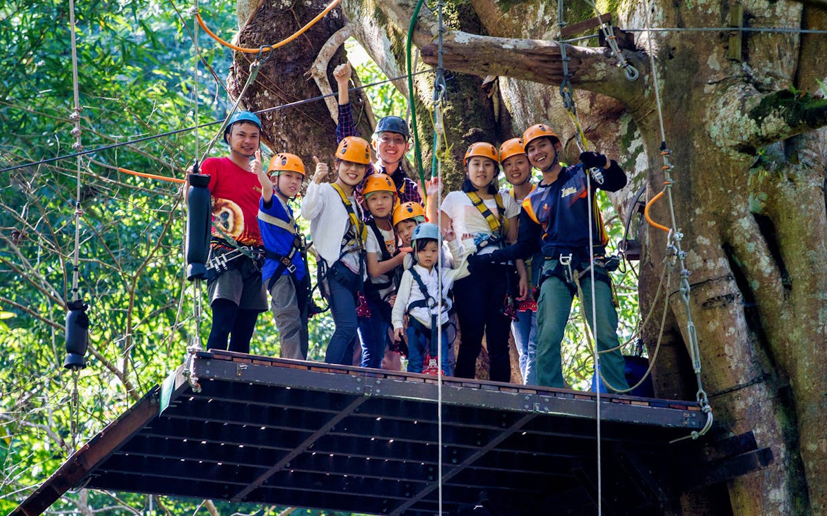 flight of the gibbon chiang mai-3 flight of the gibbon chiang mai-3