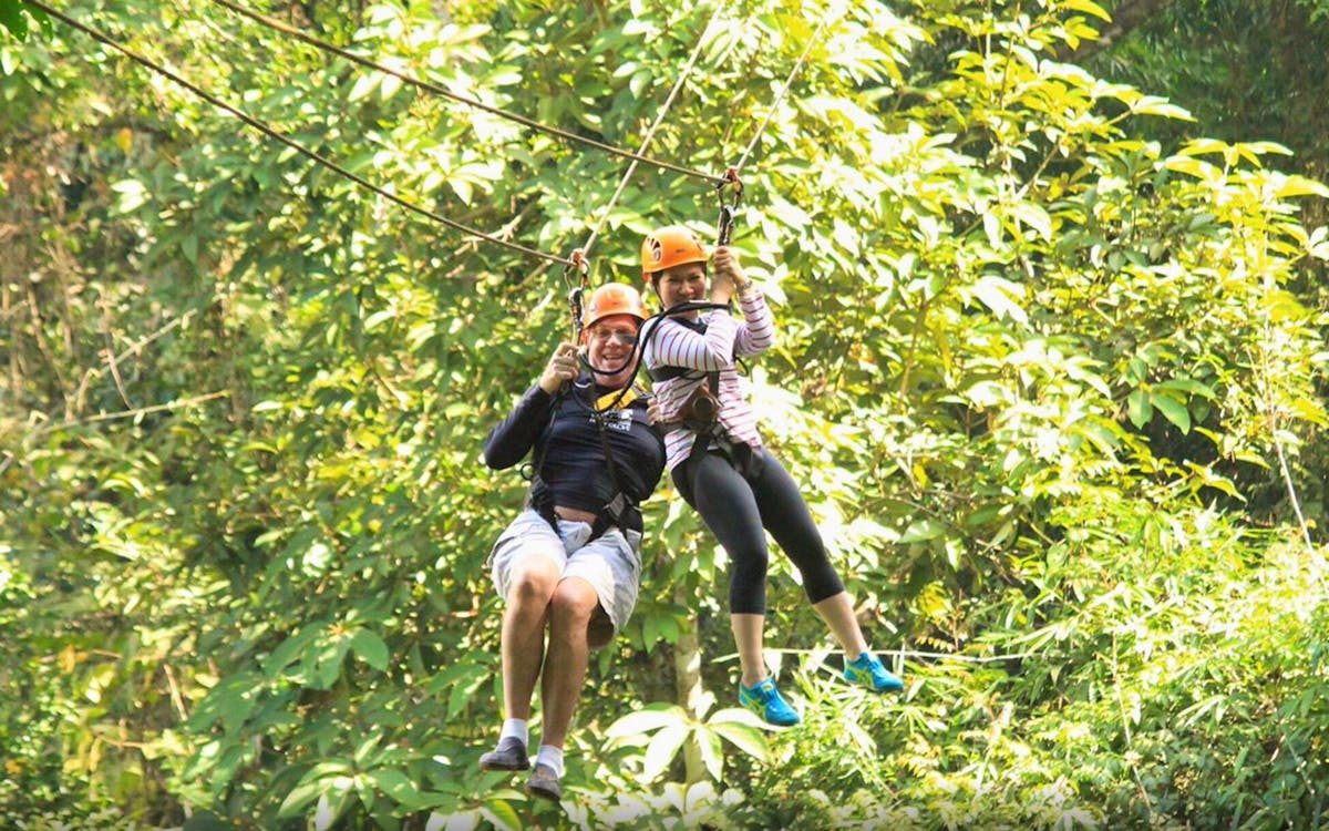 flight of the gibbon chiang mai-5 flight of the gibbon chiang mai-5