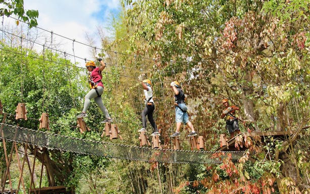 Chiang Mai zipline through lush forest, part of Phoenix Adventure Program.