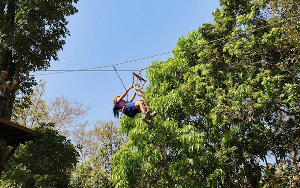 Chiang Mai zipline adventure through lush forest, part of Phoenix Adventure Program.