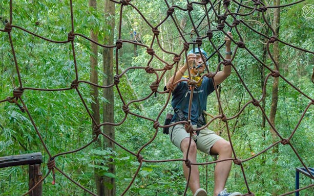 Person navigating a rope course in a forest during Eagle Track Zipline Adventure.