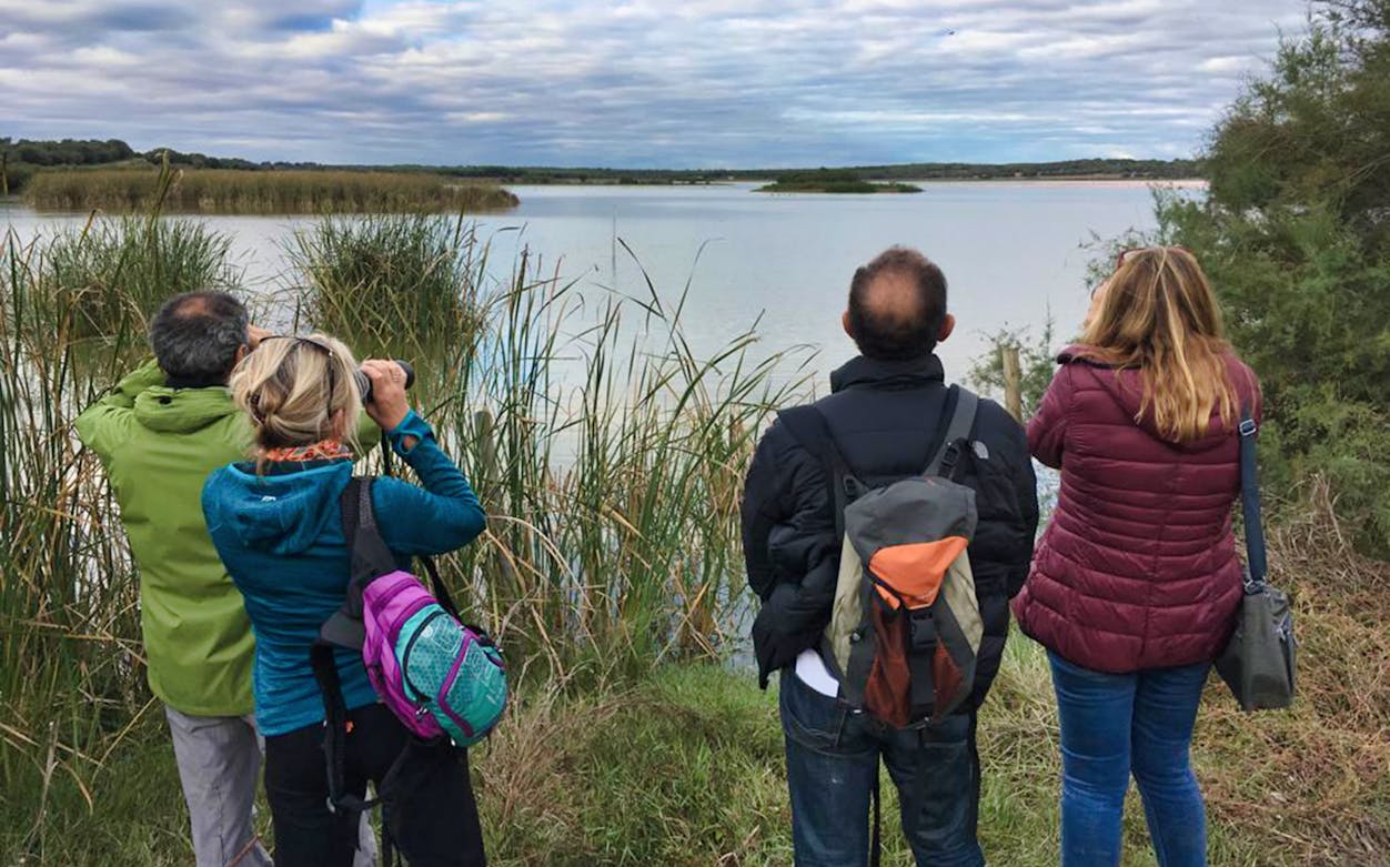 Visitors observing wildlife at a lake in Doñana National Park during a day trip from Seville.