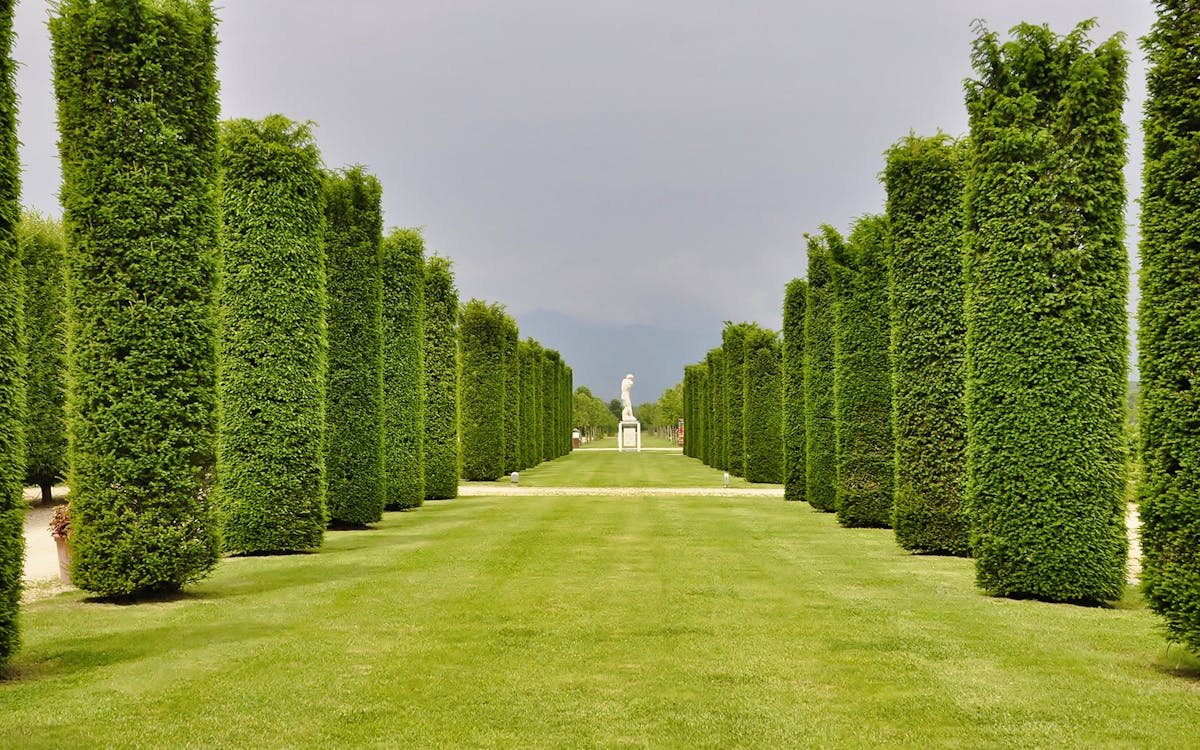 ingresso riservato - venaria reale-3 ingresso riservato - venaria reale-3