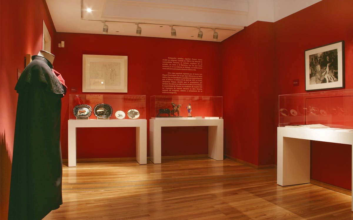 picasso`s birthplace museum: skip the line tickets-0 picasso`s birthplace museum: skip the line tickets-0