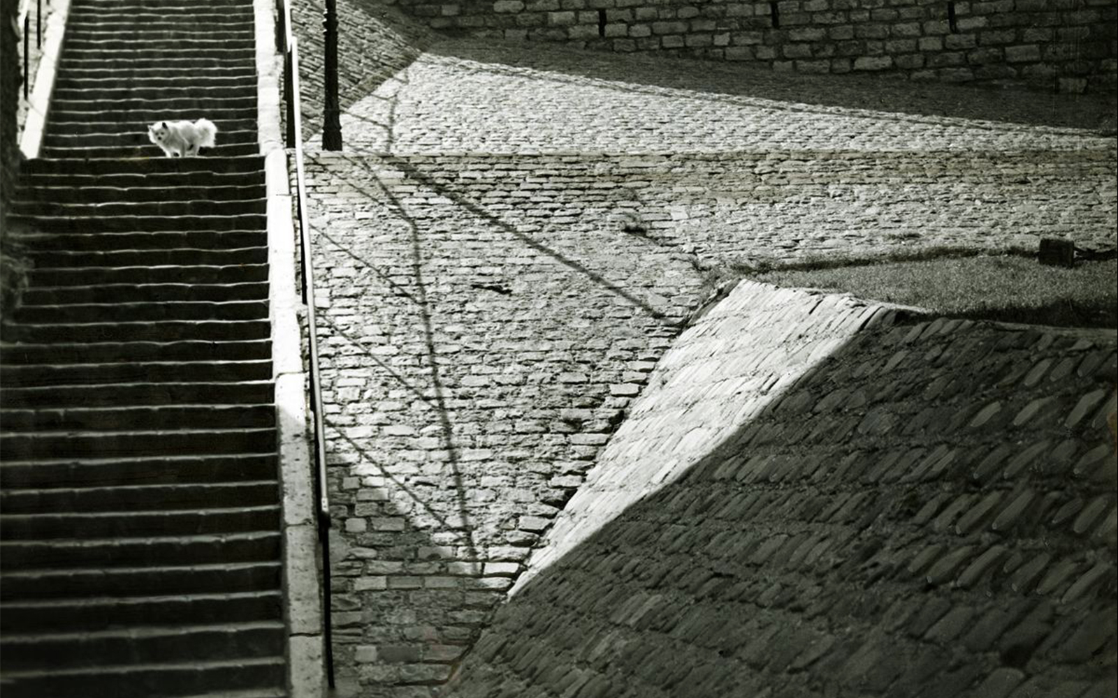 entradas museo picasso malaga