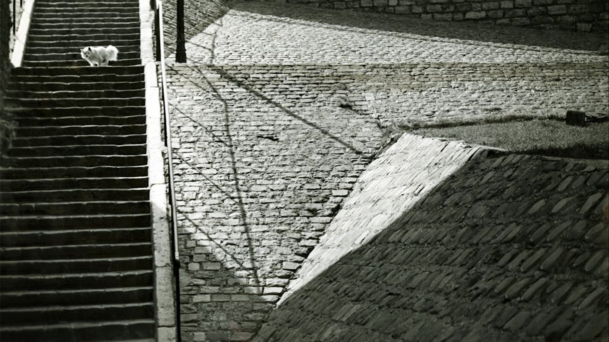 entradas museo picasso malaga