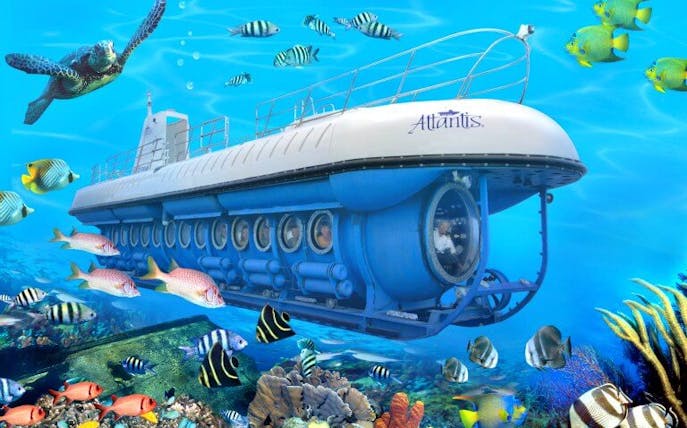 Submarine tour with diverse marine life in Atlantis Combo experience.
