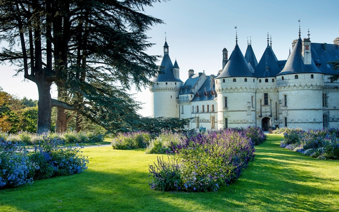 Chaumont sur Loire castle with gardens and large tree in the foreground.