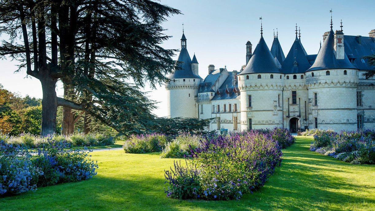 Visita Castelli della Loira