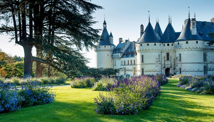 Visita Castelli della Loira