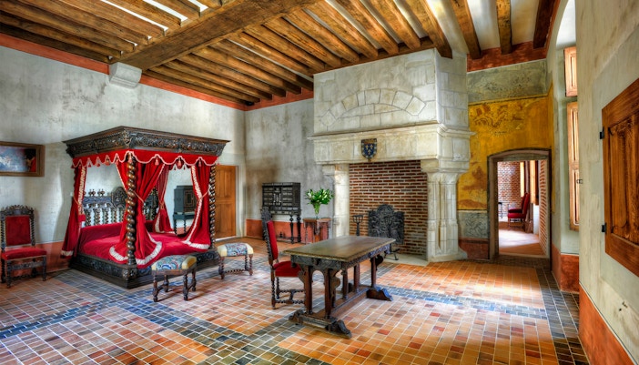 Visita Castelli della Loira