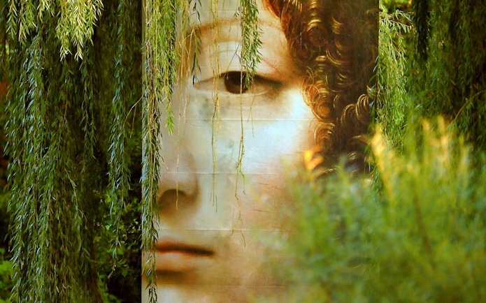 Mural of a face partially hidden by foliage at Chaumont sur Loire.