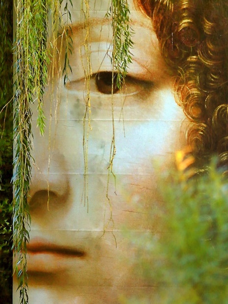 Mural of a face partially hidden by foliage at Chaumont sur Loire.