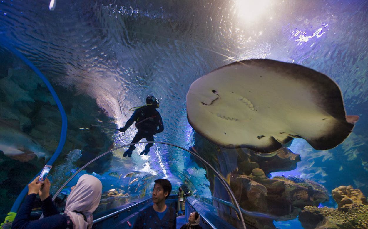 Underwater tunnel with visitors and diver at Kuala Lumpur aquarium.