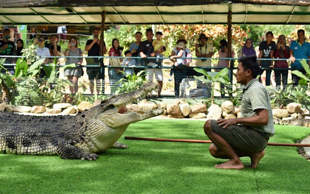 Crocodile show with trainer at Crocodile Adventureland Langkawi, audience watching in background.