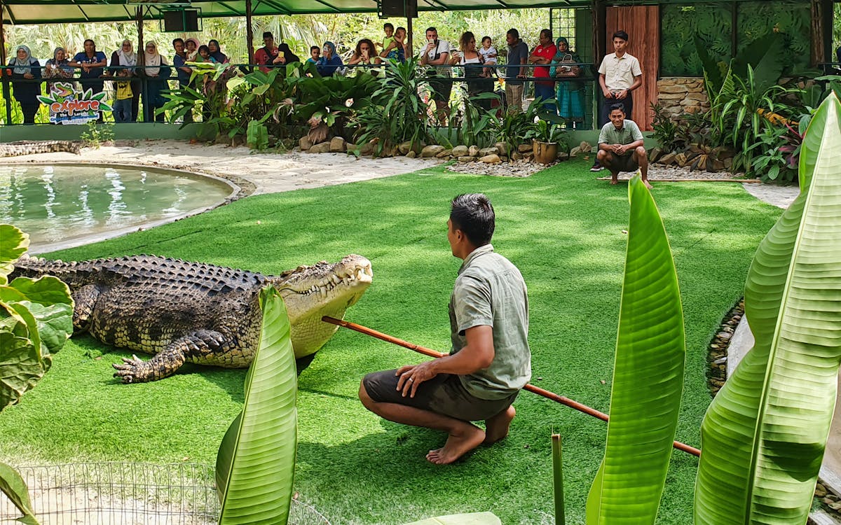 crocodile adventureland langkawi - croc encounter combo-3 crocodile adventureland langkawi - croc encounter combo-3