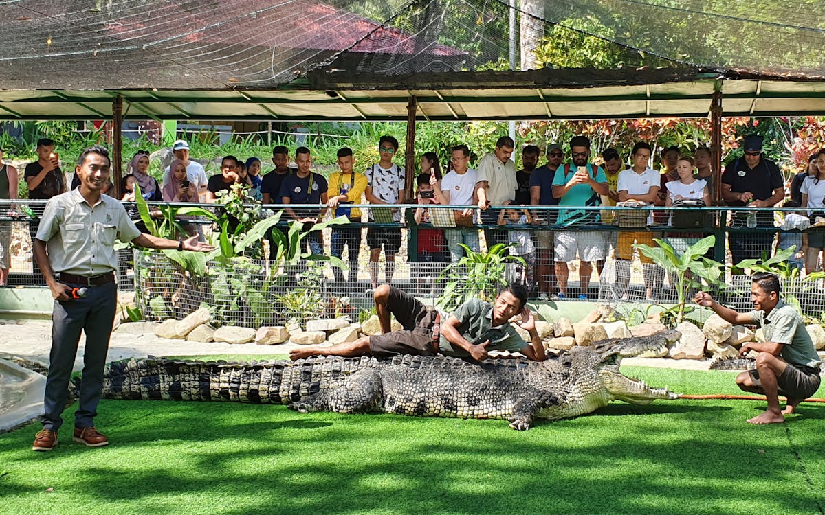crocodile adventureland langkawi - croc encounter combo-2 crocodile adventureland langkawi - croc encounter combo-2