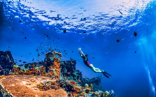Snorkeler exploring coral and fish near Japanese shipwreck in Amed, Bali.